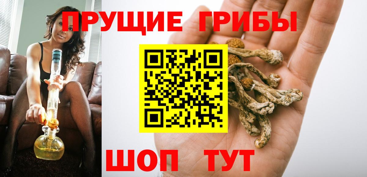 Псилоцибиновые грибы мухоморы  Сосновый Бор 