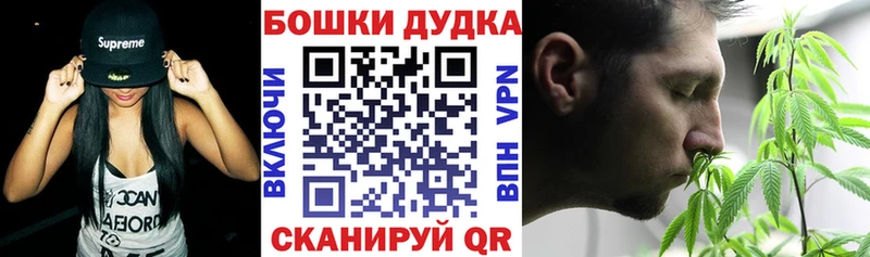 купить   Сосновый Бор  Бошки марихуана семена 