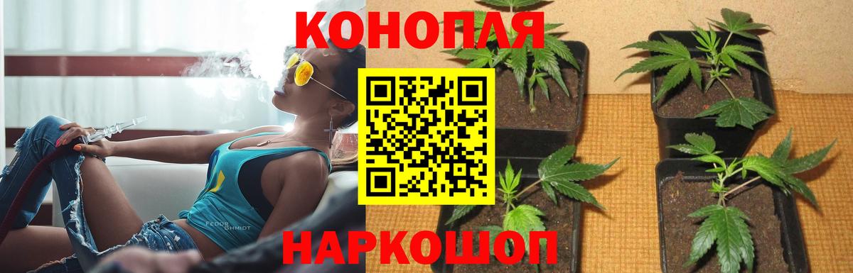 Марихуана VHQ Сосновый Бор